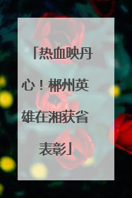 热血映丹心！郴州英雄在湘获省表彰