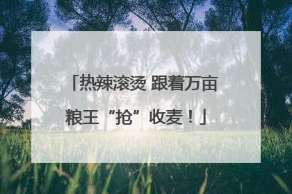 热辣滚烫 跟着万亩粮王“抢”收麦！