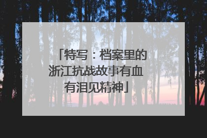 特写：档案里的浙江抗战故事有血有泪见精神
