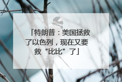 特朗普：美国拯救了以色列，现在又要救“比比”了