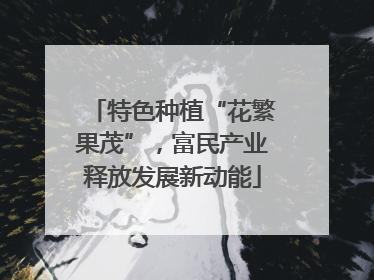 特色种植“花繁果茂”，富民产业释放发展新动能