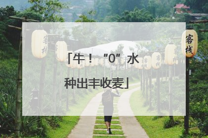牛！“0”水种出丰收麦