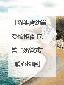猫头鹰幼崽受惊拒食 民警“奶爸式”暖心投喂