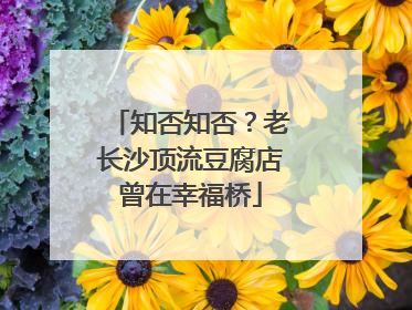 知否知否？老长沙顶流豆腐店曾在幸福桥