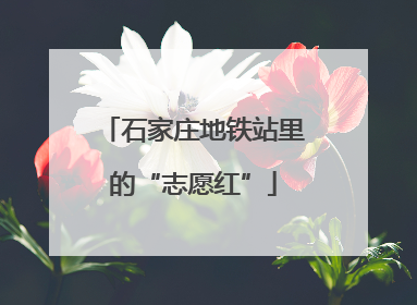 石家庄地铁站里的“志愿红”