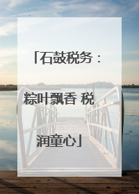 石鼓税务：粽叶飘香 税润童心