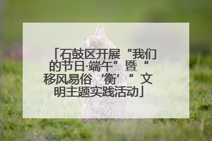 石鼓区开展“我们的节日·端午”暨“移风易俗‘衡’”文明主题实践活动
