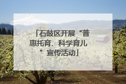 石鼓区开展“普惠托育、科学育儿”宣传活动
