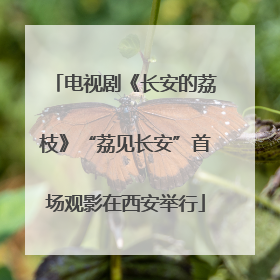 电视剧《长安的荔枝》“荔见长安”首场观影在西安举行