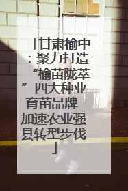 甘肃榆中：聚力打造“榆苗陇萃”四大种业育苗品牌 加速农业强县转型步伐