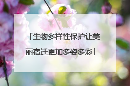 生物多样性保护让美丽宿迁更加多姿多彩