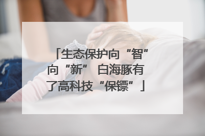 生态保护向“智”向“新” 白海豚有了高科技“保镖”