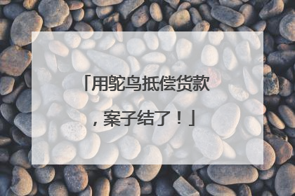 用鸵鸟抵偿货款，案子结了！