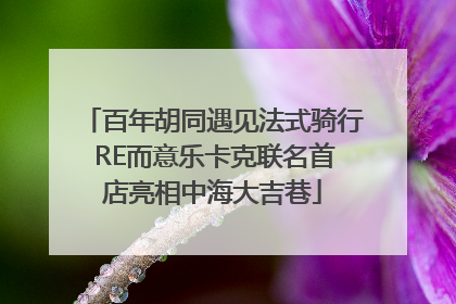 百年胡同遇见法式骑行 RE而意乐卡克联名首店亮相中海大吉巷