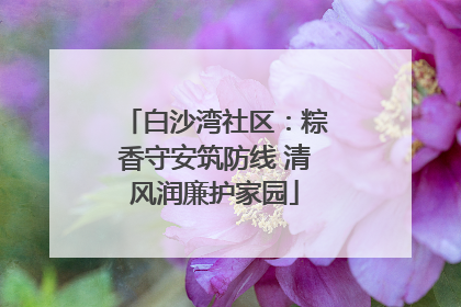 白沙湾社区：粽香守安筑防线 清风润廉护家园