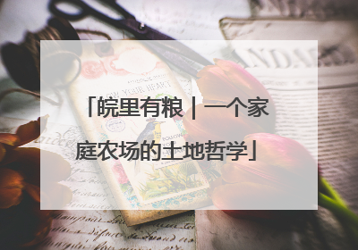 皖里有粮｜一个家庭农场的土地哲学