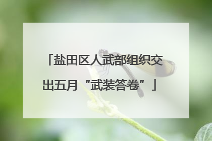 盐田区人武部组织交出五月“武装答卷”