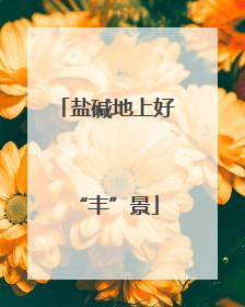 盐碱地上好“丰”景