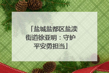盐城盐都区盐渎街道徐亚明：守护平安勇担当