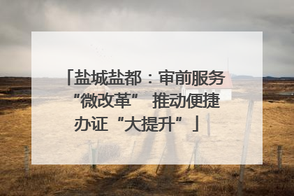 盐城盐都：审前服务“微改革” 推动便捷办证“大提升”