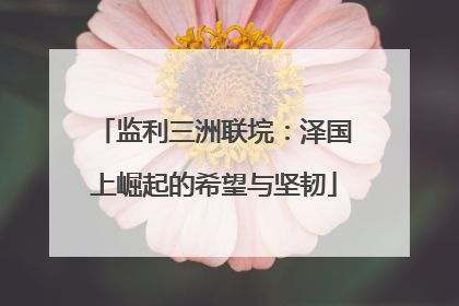 监利三洲联垸：泽国上崛起的希望与坚韧