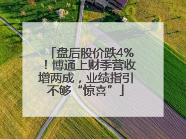 盘后股价跌4%！博通上财季营收增两成，业绩指引不够“惊喜”