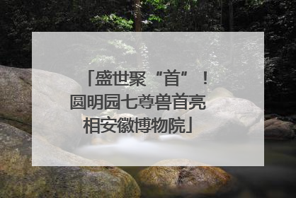 盛世聚“首”！圆明园七尊兽首亮相安徽博物院