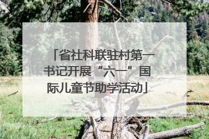 省社科联驻村第一书记开展“六一”国际儿童节助学活动
