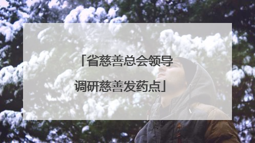 省慈善总会领导调研慈善发药点