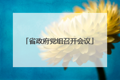 省政府党组召开会议
