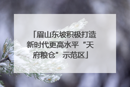 眉山东坡积极打造新时代更高水平“天府粮仓”示范区