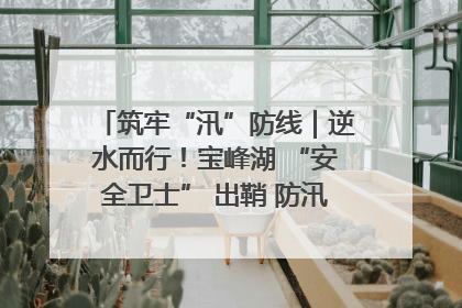 筑牢“汛”防线｜逆水而行！宝峰湖 “安全卫士” 出鞘 防汛应急再添硬核力量