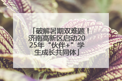 破解暑期双难题！济南高新区启动2025年“伙伴+”学生成长共同体