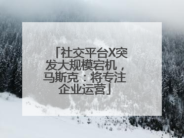 社交平台X突发大规模宕机，马斯克：将专注企业运营