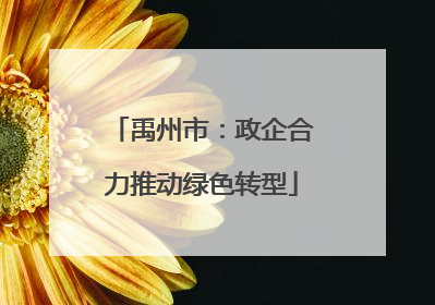 禹州市：政企合力推动绿色转型