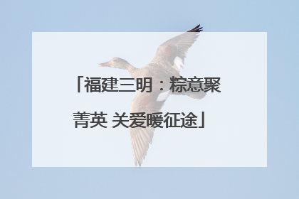 福建三明：粽意聚菁英 关爱暖征途