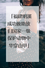 福建明溪成功救助放归国家一级保护动物中华穿山甲
