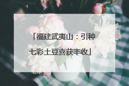 福建武夷山：引种七彩土豆喜获丰收