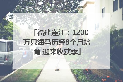 福建连江：1200万只海马历经8个月培育 迎来收获季