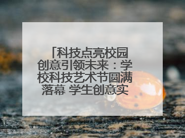 科技点亮校园 创意引领未来：学校科技艺术节圆满落幕 学生创意实践大荟萃