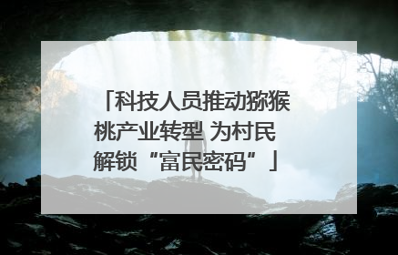 科技人员推动猕猴桃产业转型 为村民解锁“富民密码”