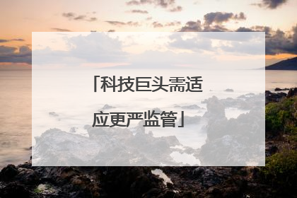 科技巨头需适应更严监管
