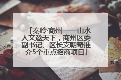 秦岭·商州——山水人文邀天下，商州区委副书记、区长支朝奇推介5个重点招商项目