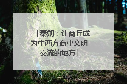 秦朔：让商丘成为中西方商业文明交流的地方