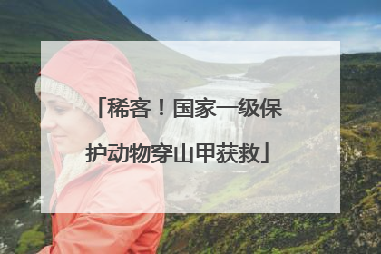 稀客！国家一级保护动物穿山甲获救