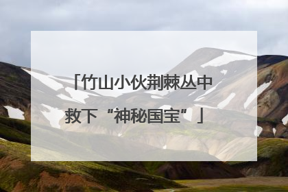 竹山小伙荆棘丛中救下“神秘国宝”