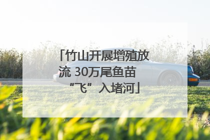 竹山开展增殖放流 30万尾鱼苗“飞”入堵河