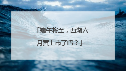 端午将至，西湖六月黄上市了吗？