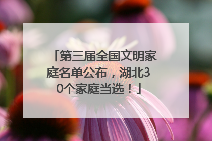 第三届全国文明家庭名单公布，湖北30个家庭当选！