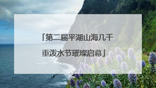第二届平湖山海几千重泼水节璀璨启幕